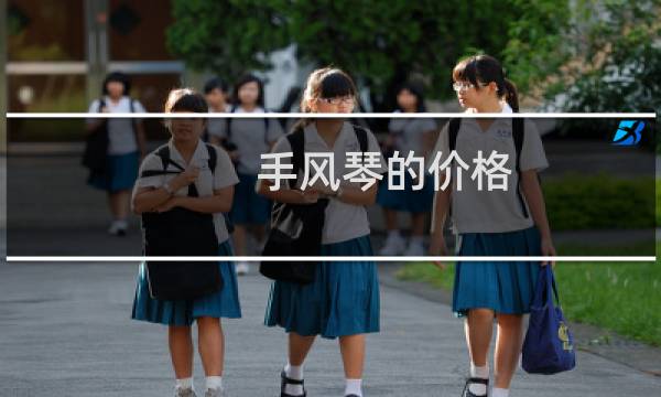 手风琴的价格