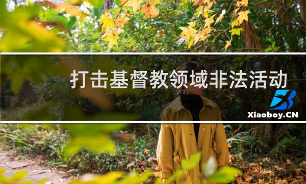 打击基督教领域非法活动