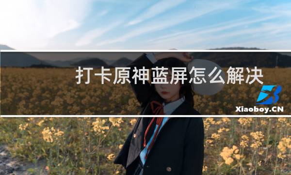 打卡原神蓝屏怎么解决
