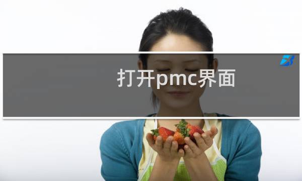 打开pmc界面