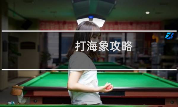 打海象攻略