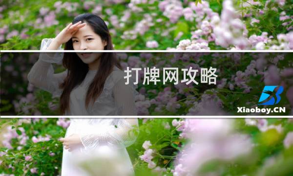 打牌网攻略