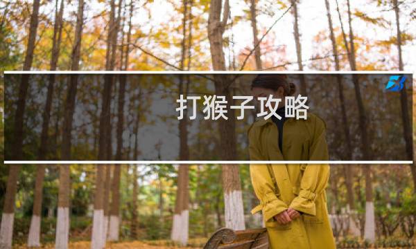 打猴子攻略