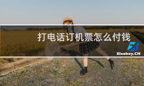 打电话订机票怎么付钱