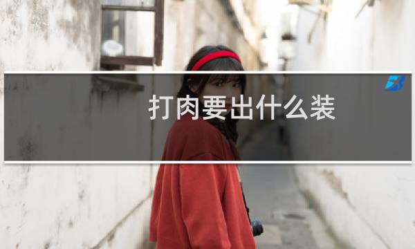 打肉要出什么装
