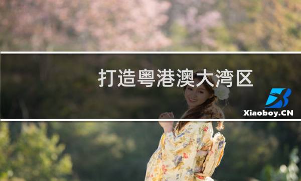 打造粤港澳大湾区