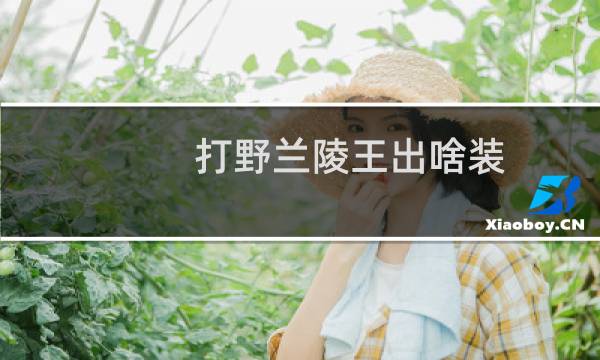 打野兰陵王出啥装