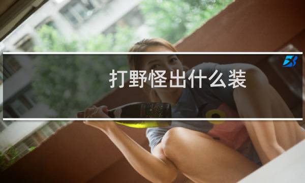 打野怪出什么装