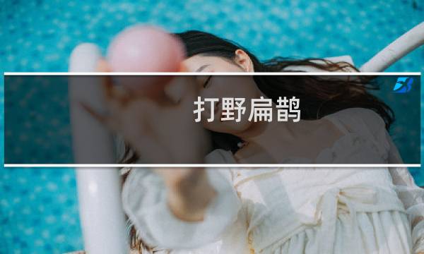 打野扁鹊 出装最强