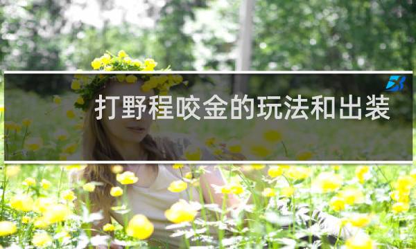 打野程咬金的玩法和出装