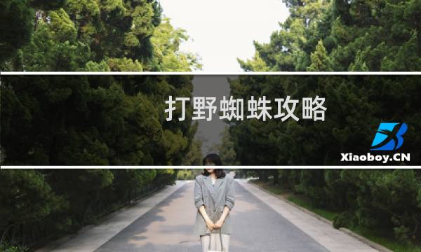 打野蜘蛛攻略