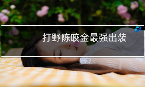 打野陈咬金最强出装
