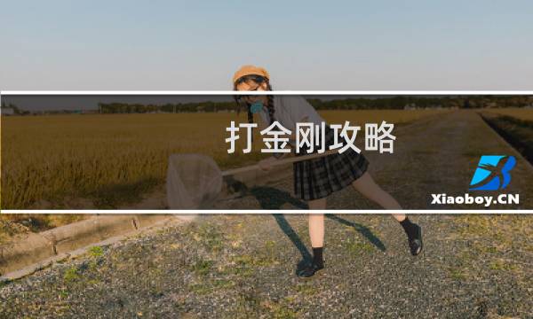 打金刚攻略