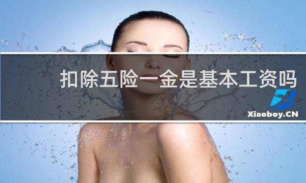 扣除五险一金是基本工资吗