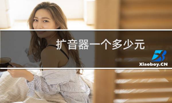 扩音器一个多少元
