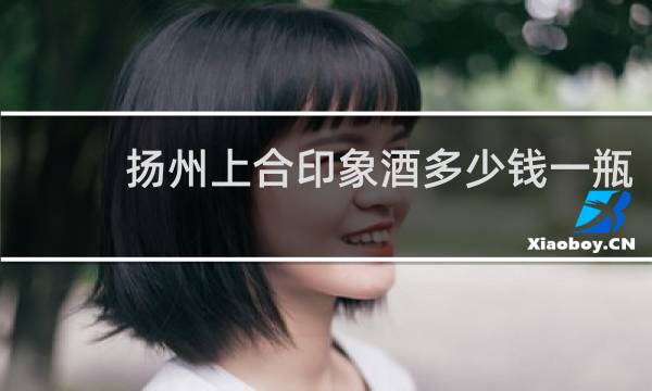 扬州上合印象酒多少钱一瓶