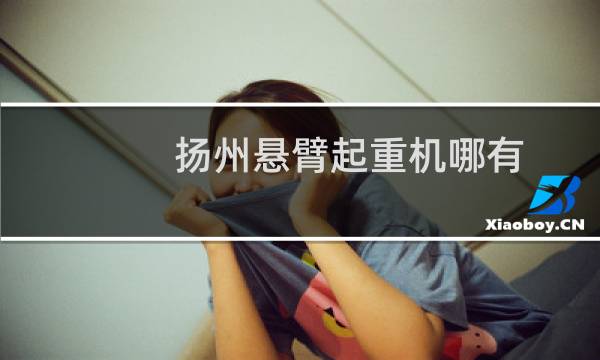 扬州悬臂起重机哪有