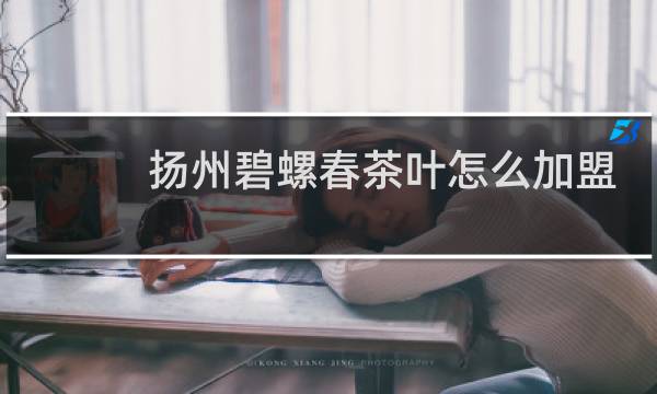 扬州碧螺春茶叶怎么加盟