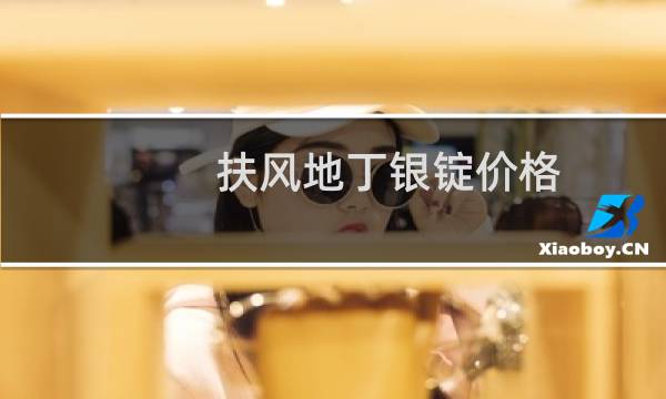 扶风地丁银锭价格