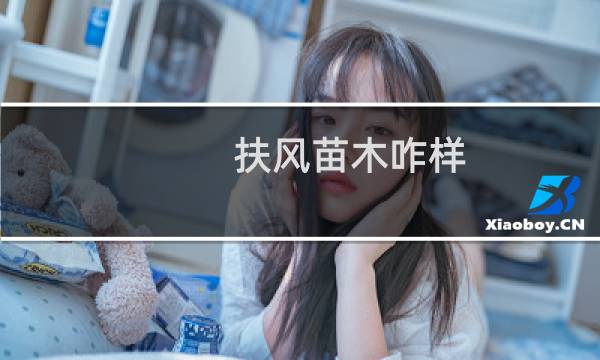 扶风苗木咋样