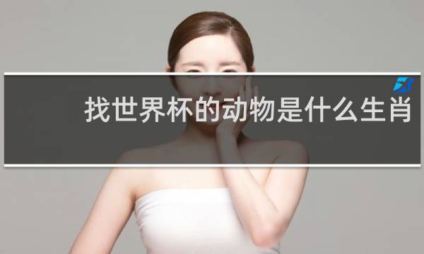找世界杯的动物是什么生肖