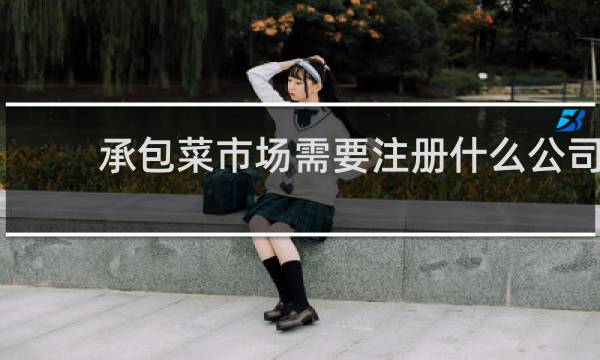 承包菜市场需要注册什么公司