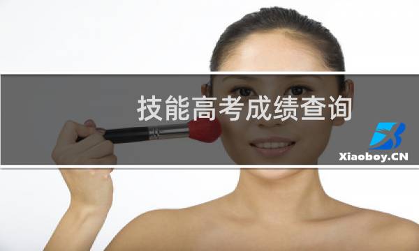 技能高考成绩查询