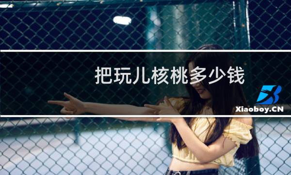 把玩儿核桃多少钱