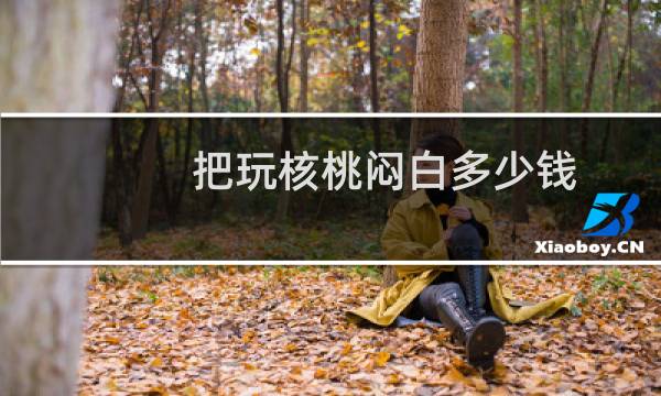 把玩核桃闷白多少钱