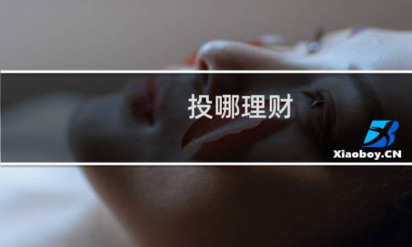 投哪理财