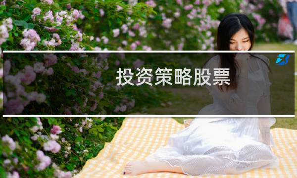 投资策略股票
