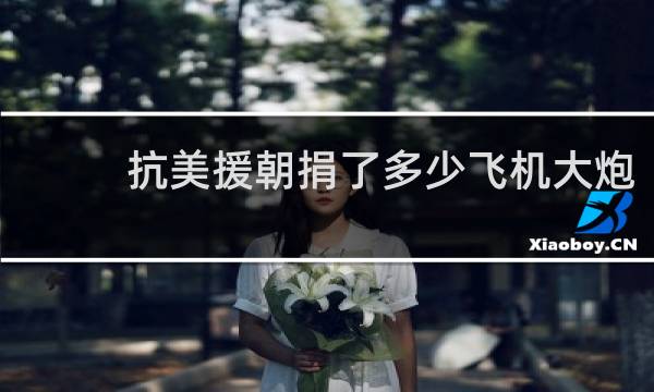 抗美援朝捐了多少飞机大炮