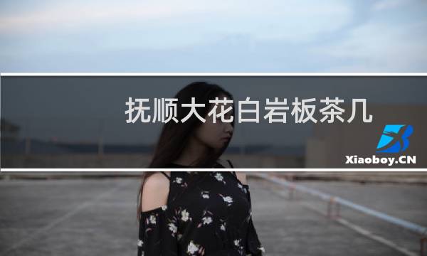 抚顺大花白岩板茶几