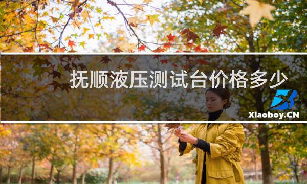 抚顺液压测试台价格多少