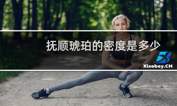 抚顺琥珀的密度是多少