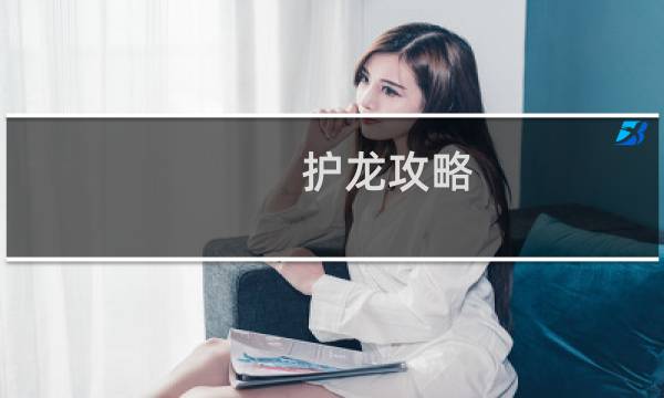 护龙攻略