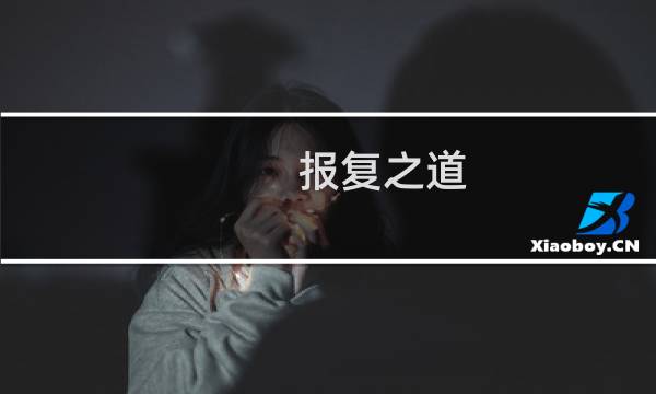 报复之道 攻略
