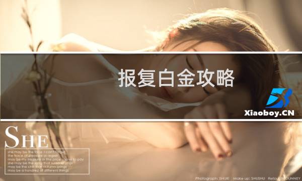 报复白金攻略