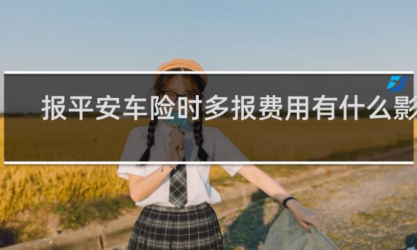报平安车险时多报费用有什么影响