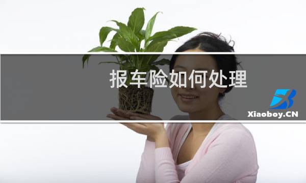 报车险如何处理