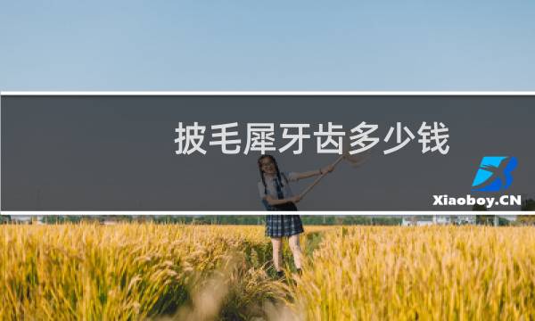 披毛犀牙齿多少钱