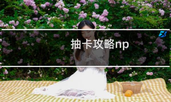 抽卡攻略np