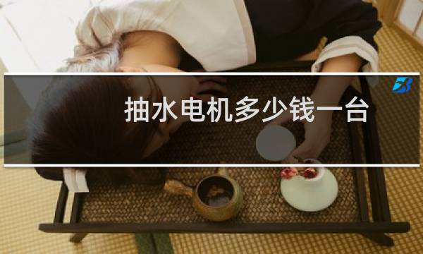 抽水电机多少钱一台
