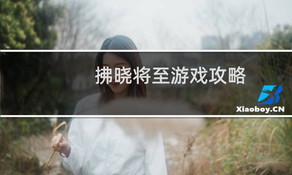 拂晓将至游戏攻略