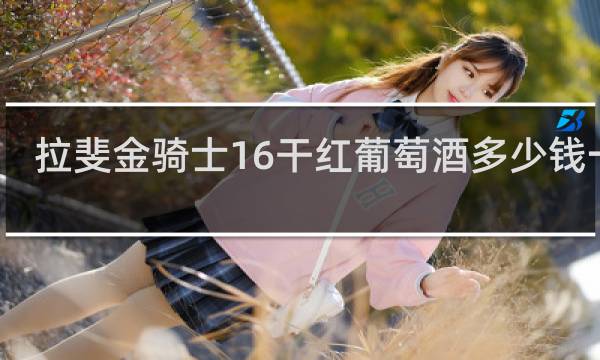 拉斐金骑士16干红葡萄酒多少钱一瓶