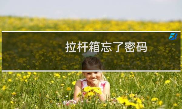 拉杆箱忘了密码