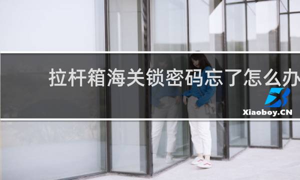 拉杆箱海关锁密码忘了怎么办