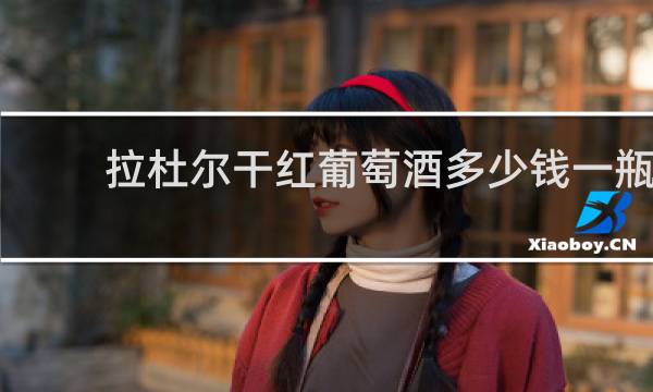 拉杜尔干红葡萄酒多少钱一瓶