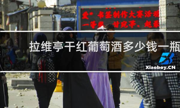 拉维亭干红葡萄酒多少钱一瓶