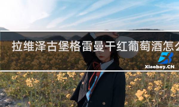 拉维泽古堡格雷曼干红葡萄酒怎么样